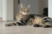 images (2)