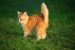 images (1)
